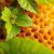 Propolis na trądzik – naturalne sposoby na zdrową skórę